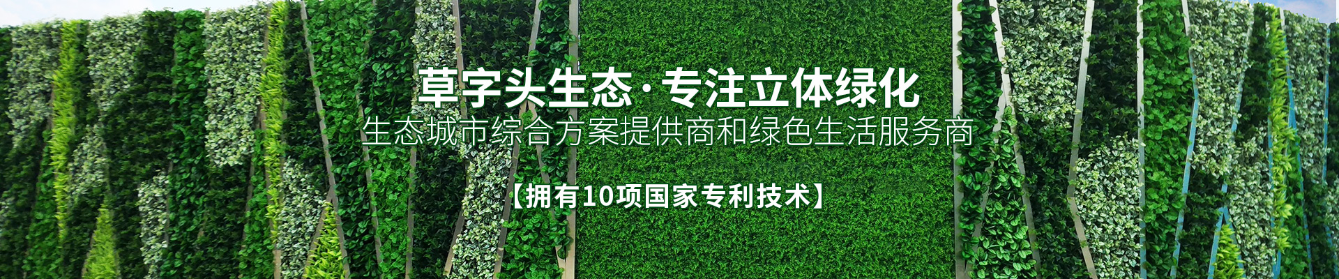 湖南草字頭生態環境建設有限公司|專注于生態修復和綠化環保事業
