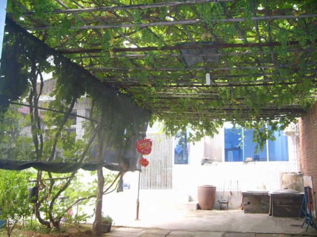 湖南草字頭生態環境建設有限公司,人造草坪假草皮,湖南雨水收集處理工藝 湖南草字頭生態環境建設有限公司,人造草坪假草皮,湖南雨水收集處理工藝