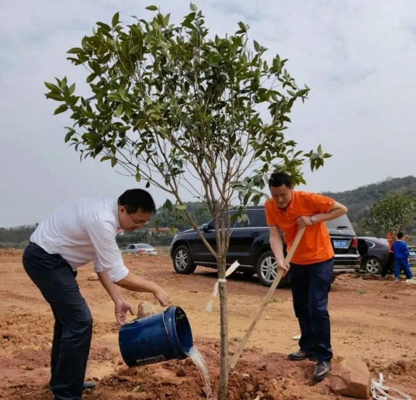 湖南草字頭生態環境建設有限公司,人造草坪假草皮,湖南雨水收集處理工藝 湖南草字頭生態環境建設有限公司,人造草坪假草皮,湖南雨水收集處理工藝